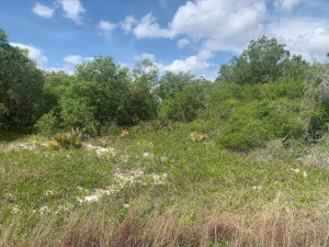 304 Canyon Drive, Other Fl City, FL 33852
