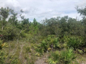 0 Holopaw Groves Road, Other Fl City, FL 34771