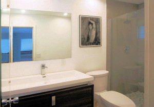 Modern, oversized sink and walk-in shower.
