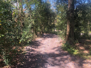 0 County Road 54 E, Other Fl City, FL 33849