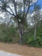 0 SW Ivy Place, Other Fl City, FL 34431