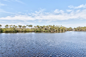 Nature preserve on opposite side of river from home