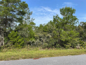0 Sunshine Avenue, Okeechobee, FL 34972