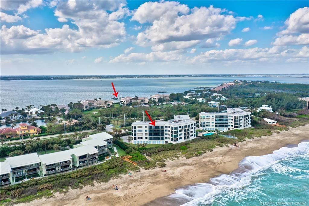 Ocean to river community