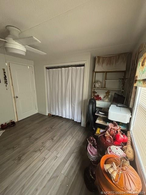 Photo 31