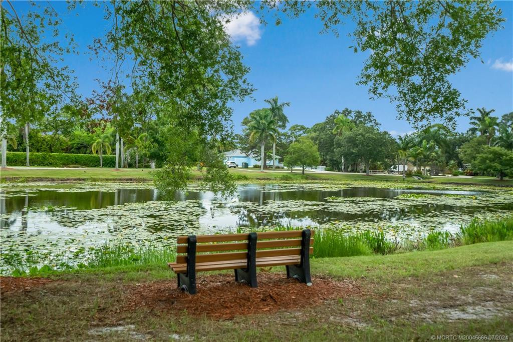 Pond