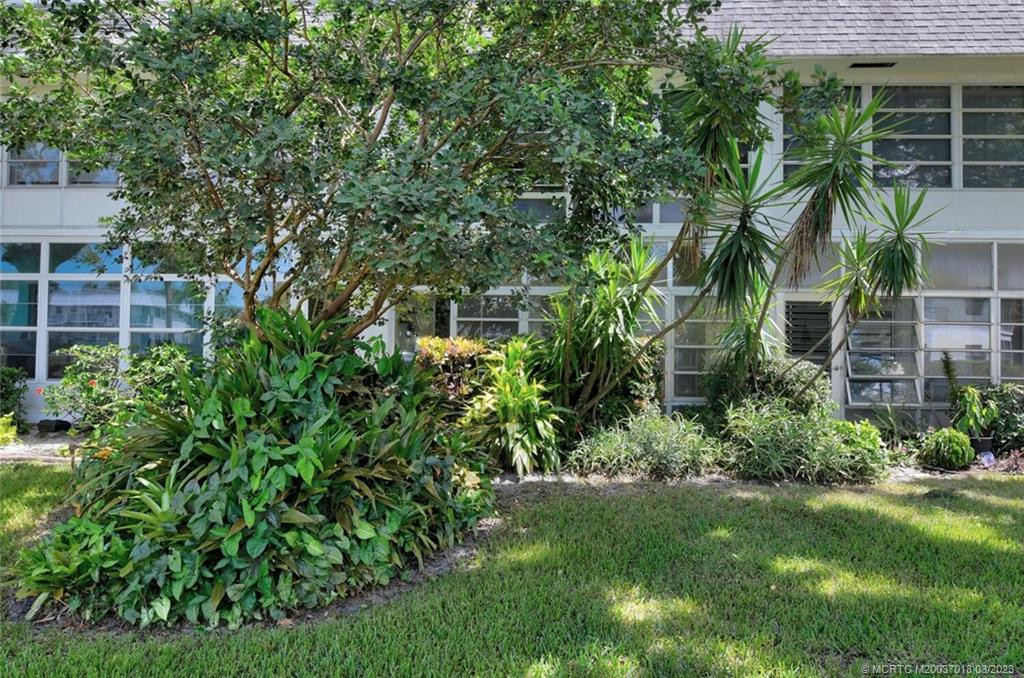 Backyard with Lush Landscape