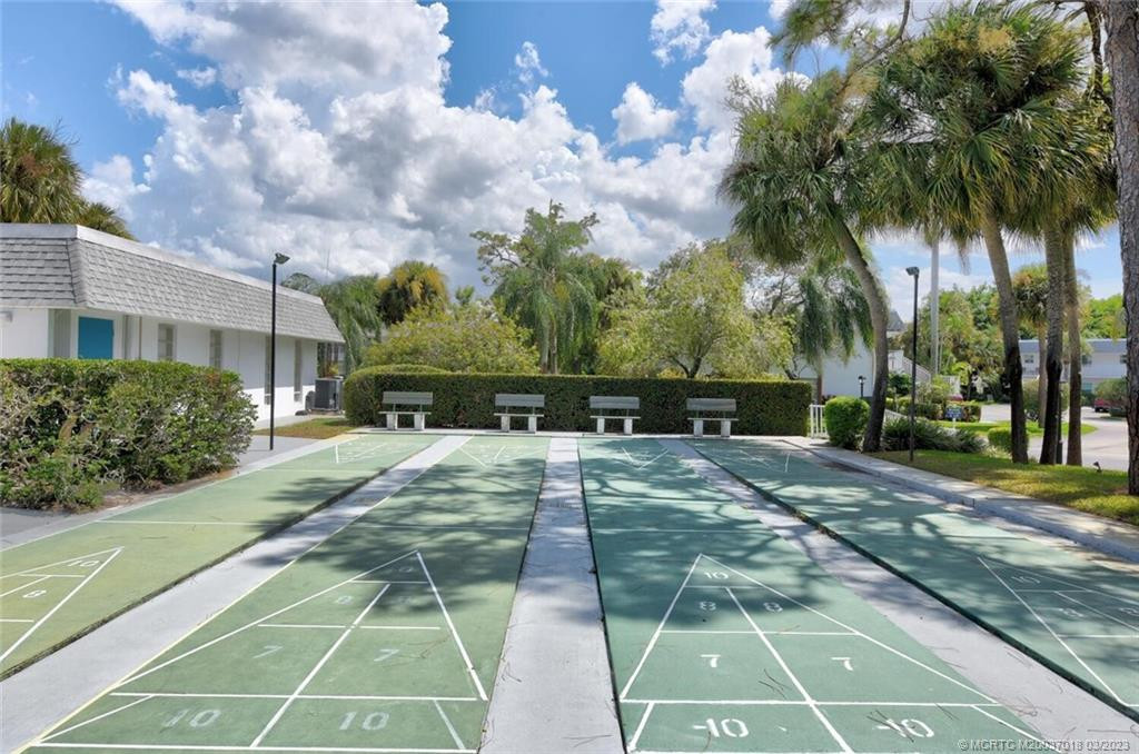 Shuffleboard