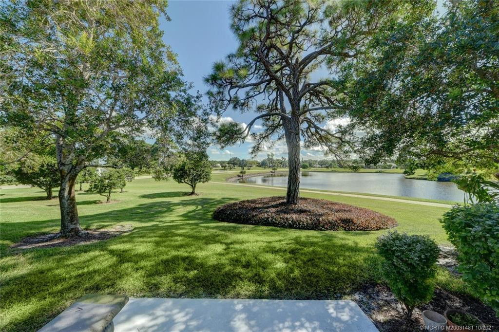 Beautiful Yard