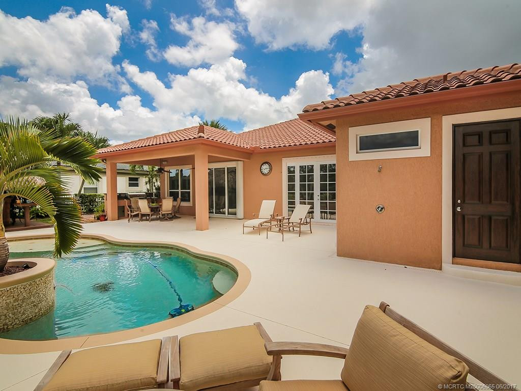 Tropical Backyard
