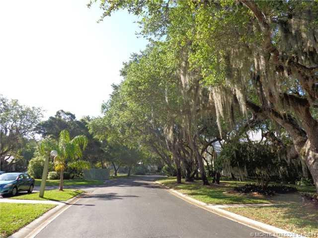 View. Large Oaks with Spanish Moss In Community