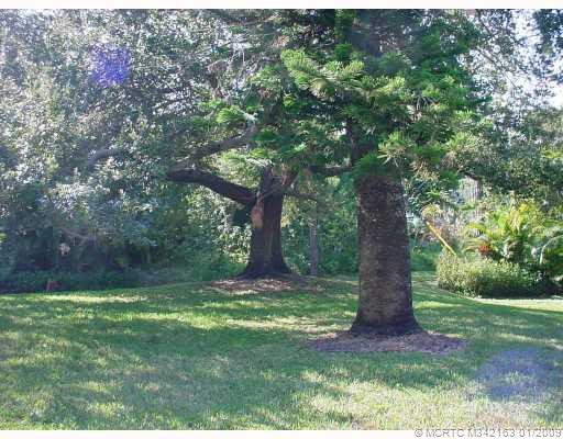 Other. Doesn t this backyard make you want to plan a picnic? View from porch.