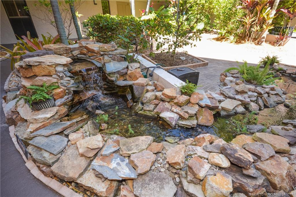 Koi Pond in the Atrium