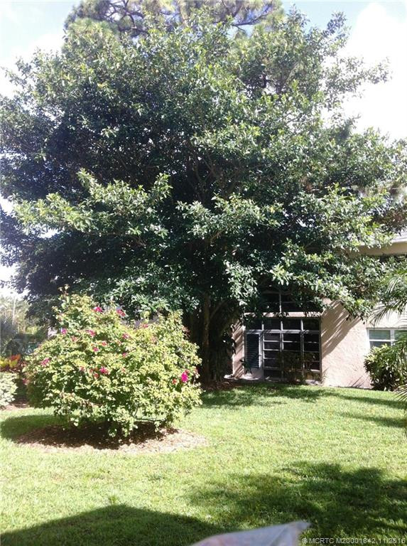 Shade trees in back yard