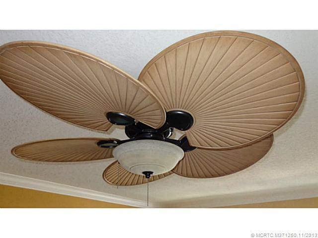 Other. Custom fans