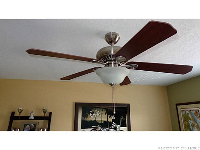 Other. Custom fans