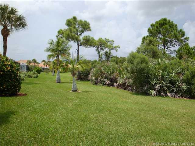 View. Back Yard