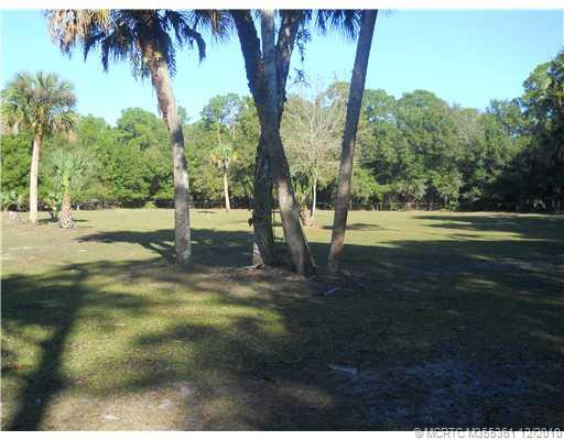 Yard/Garden.