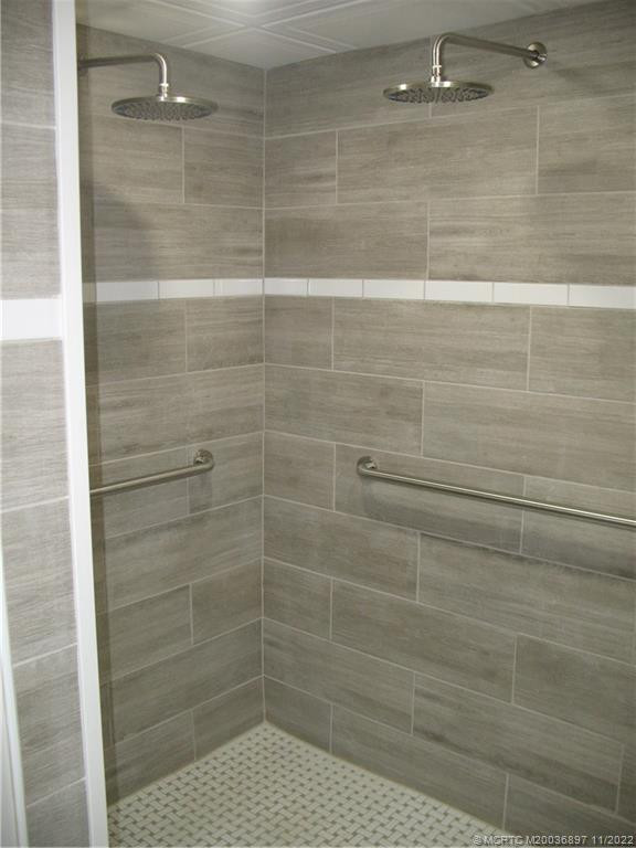 Master Bathroom Shower Stall