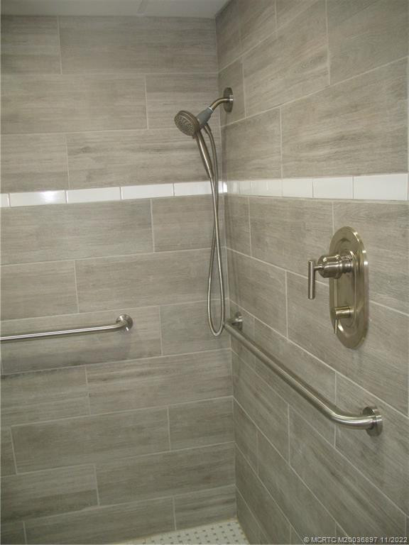 Master Bathroom Shower Stall