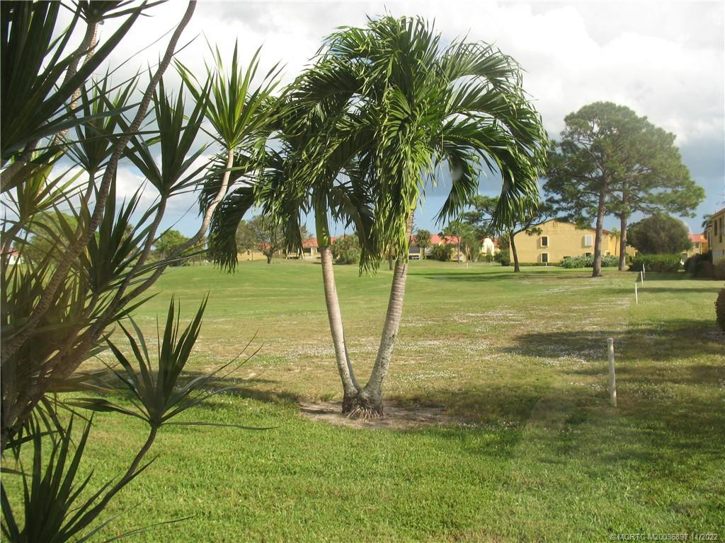 View from the back of the condo