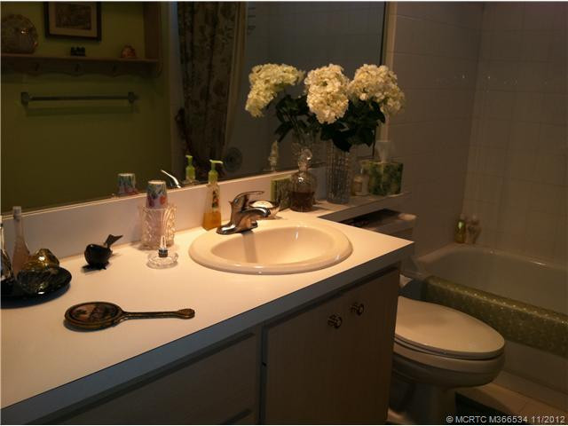 Master Bath/Spa. guest bath