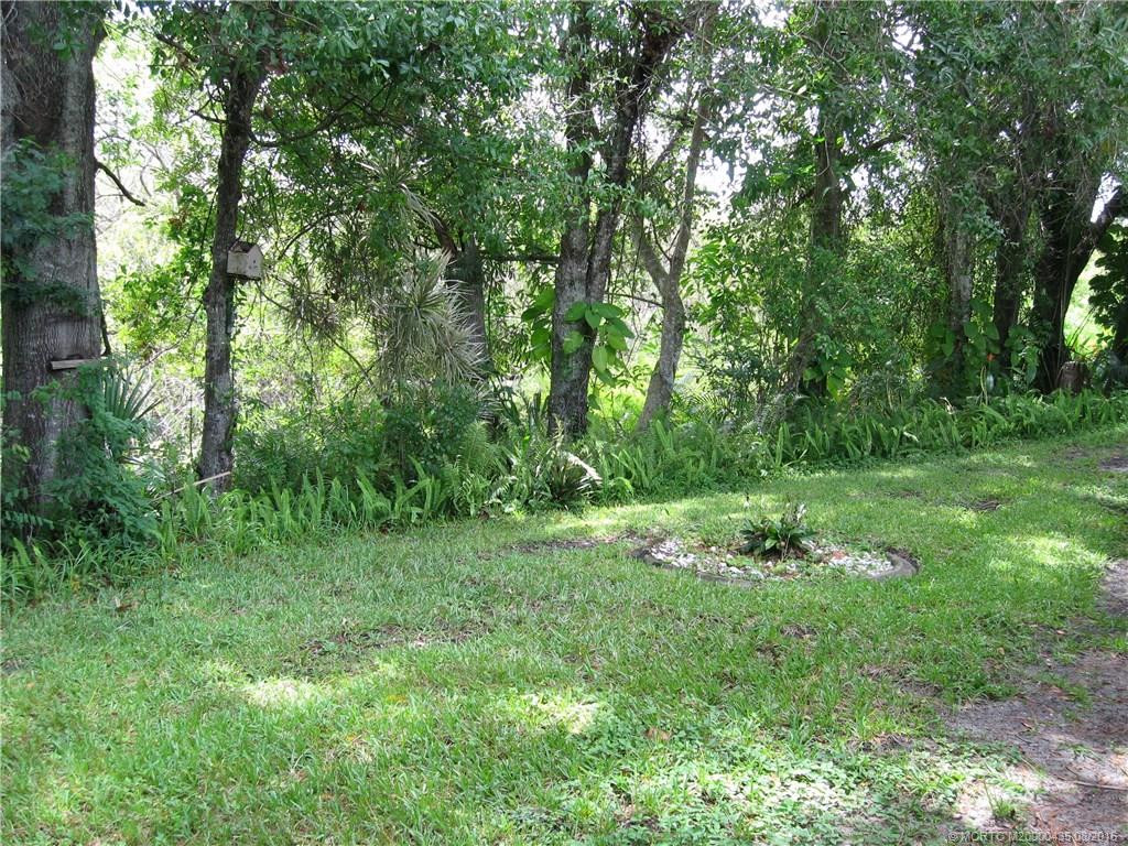 wooded area in back of house