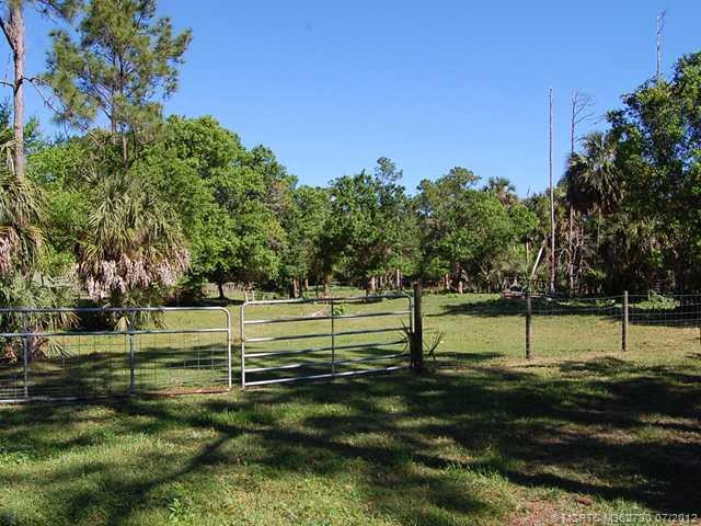 Yard/Garden.