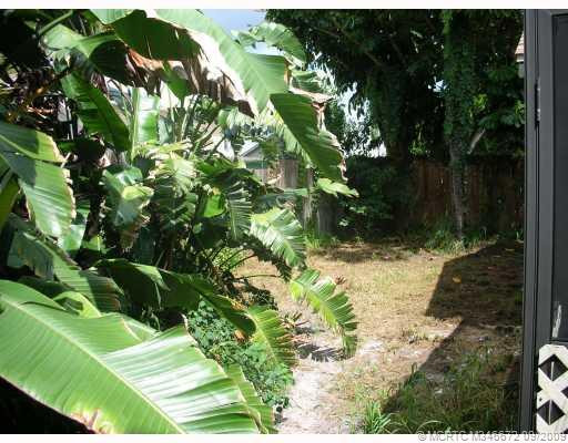 Yard/Garden.