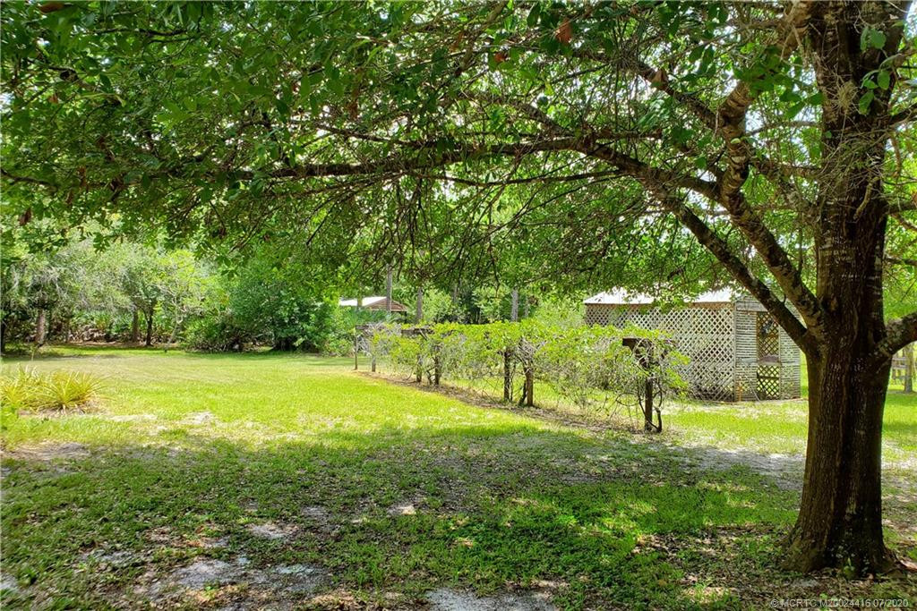 Backyard with orchid house