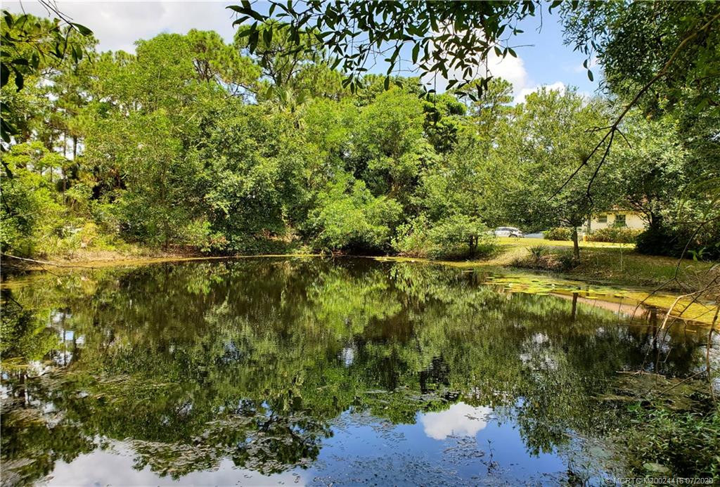 Pond