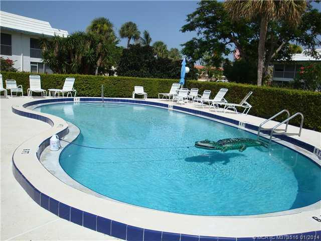 Other. Gator is NOT real Pool # two