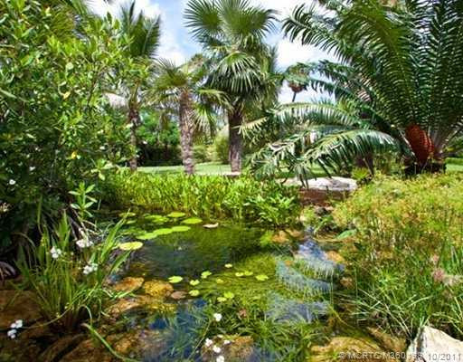 Yard/Garden.