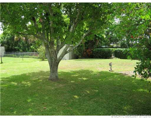 Yard/Garden.