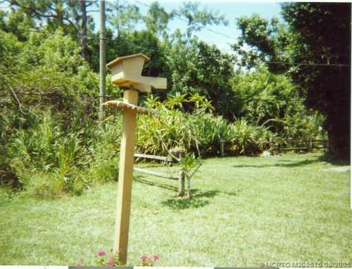 Yard/Garden.