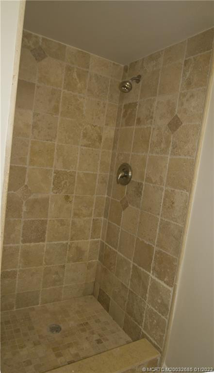 Hall Bath tiled shower