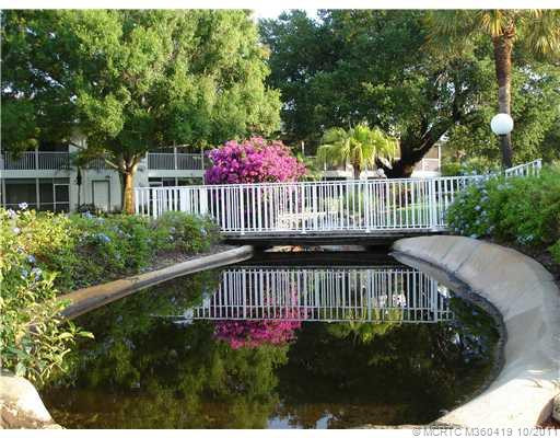 Yard/Garden.