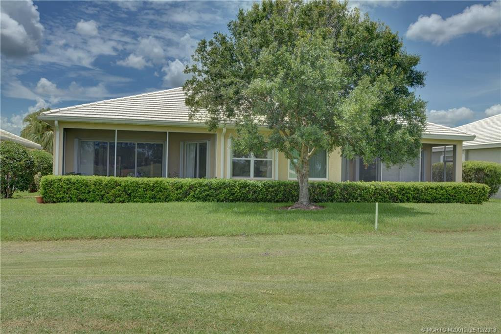 Back View - Privacy Hedge