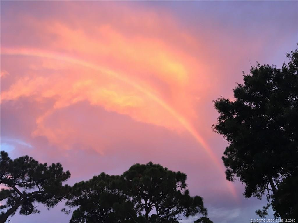 View from Back Yard