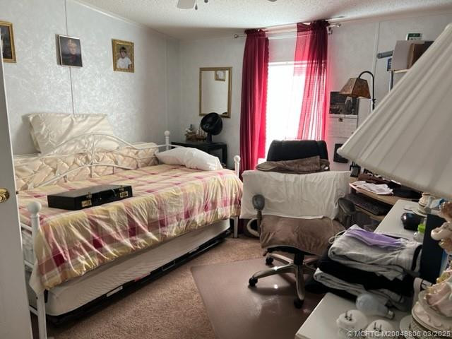 Photo 29