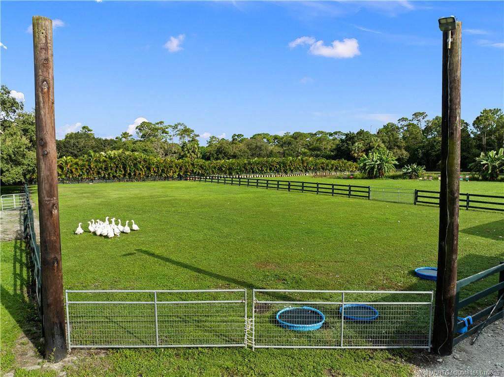 Aerial of Pasture