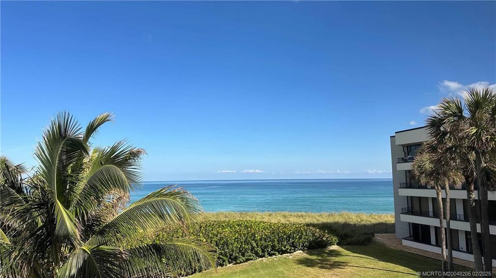 Atlantic Ocean and Tropical Views