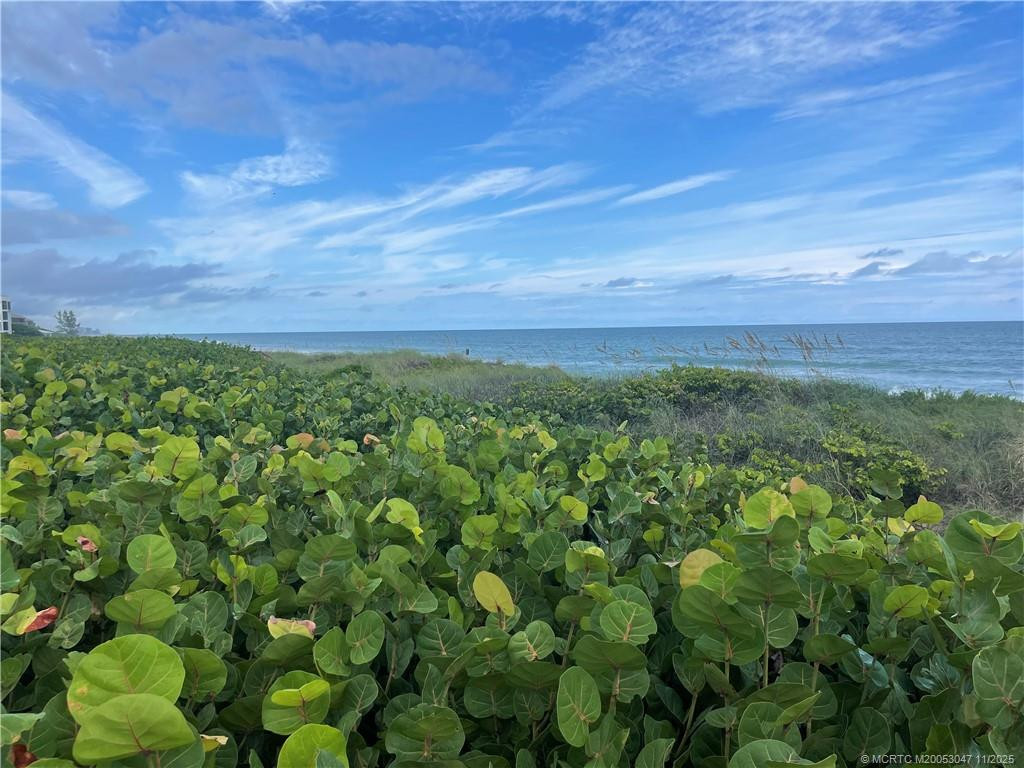 Photo 6 at 2355 NE Ocean Boulevard 1-20A, Stuart