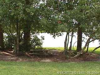Yard/Garden.