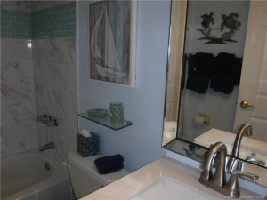 Guest Bath with shower tub combo