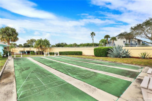 Shuffleboard