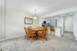 Table or counter dining