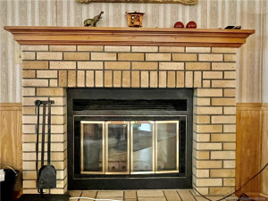 Wood burning fireplace