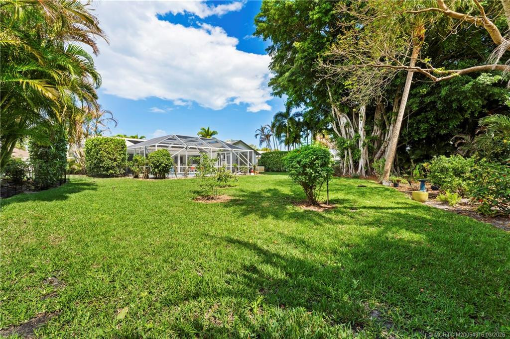 Lush backyard