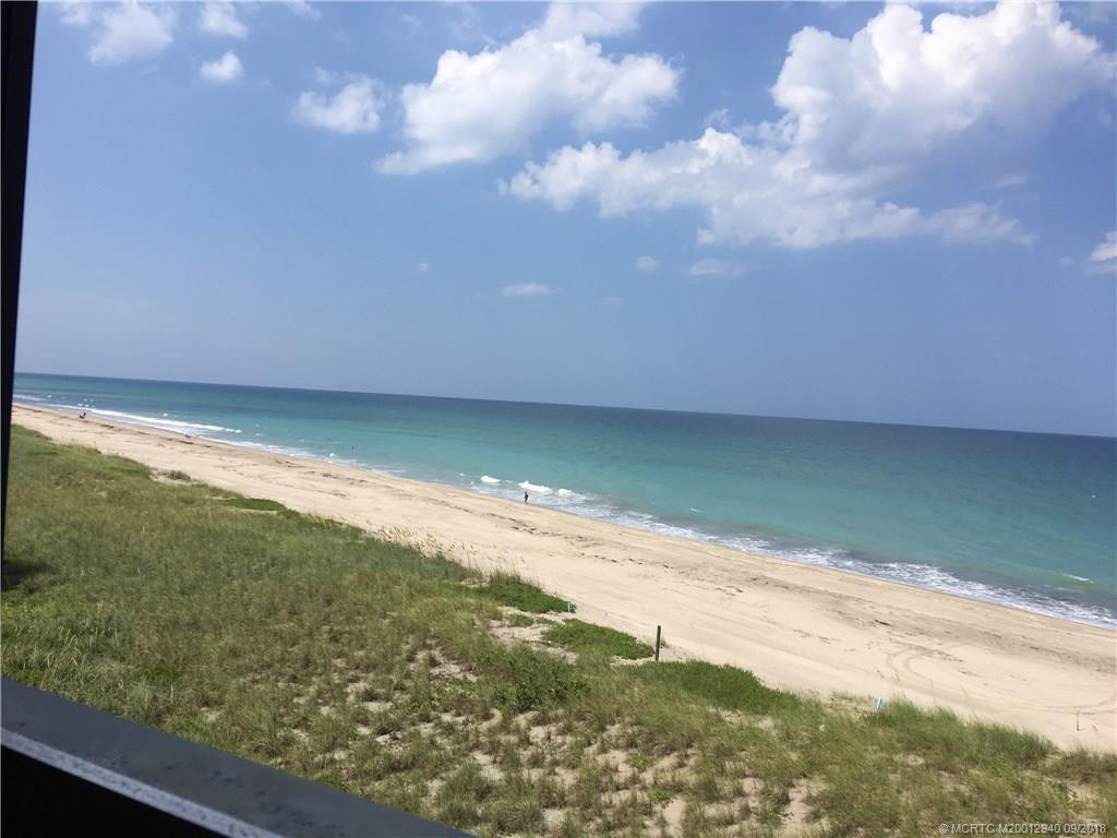 Actual View from Front Hall Windows